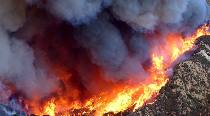 Сильнейшие лесные пожары захлестнули Калифорнию. (ФОТО)