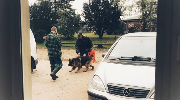 Она думала что этот плохо одетый человек попросит деньги на выпивку. Однако случилось то, чего никто не ожидал…