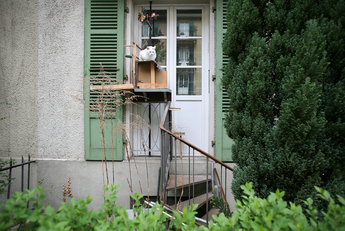 Лестницы для котов в Берне